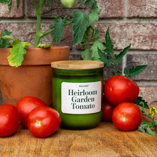 Heirloom Garden Tomato Candle