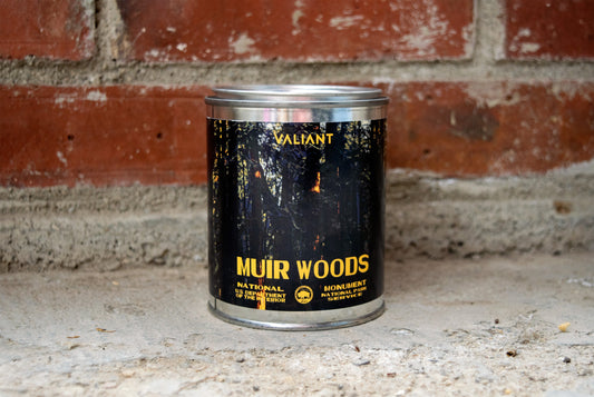 Muir Woods National Monument Candle