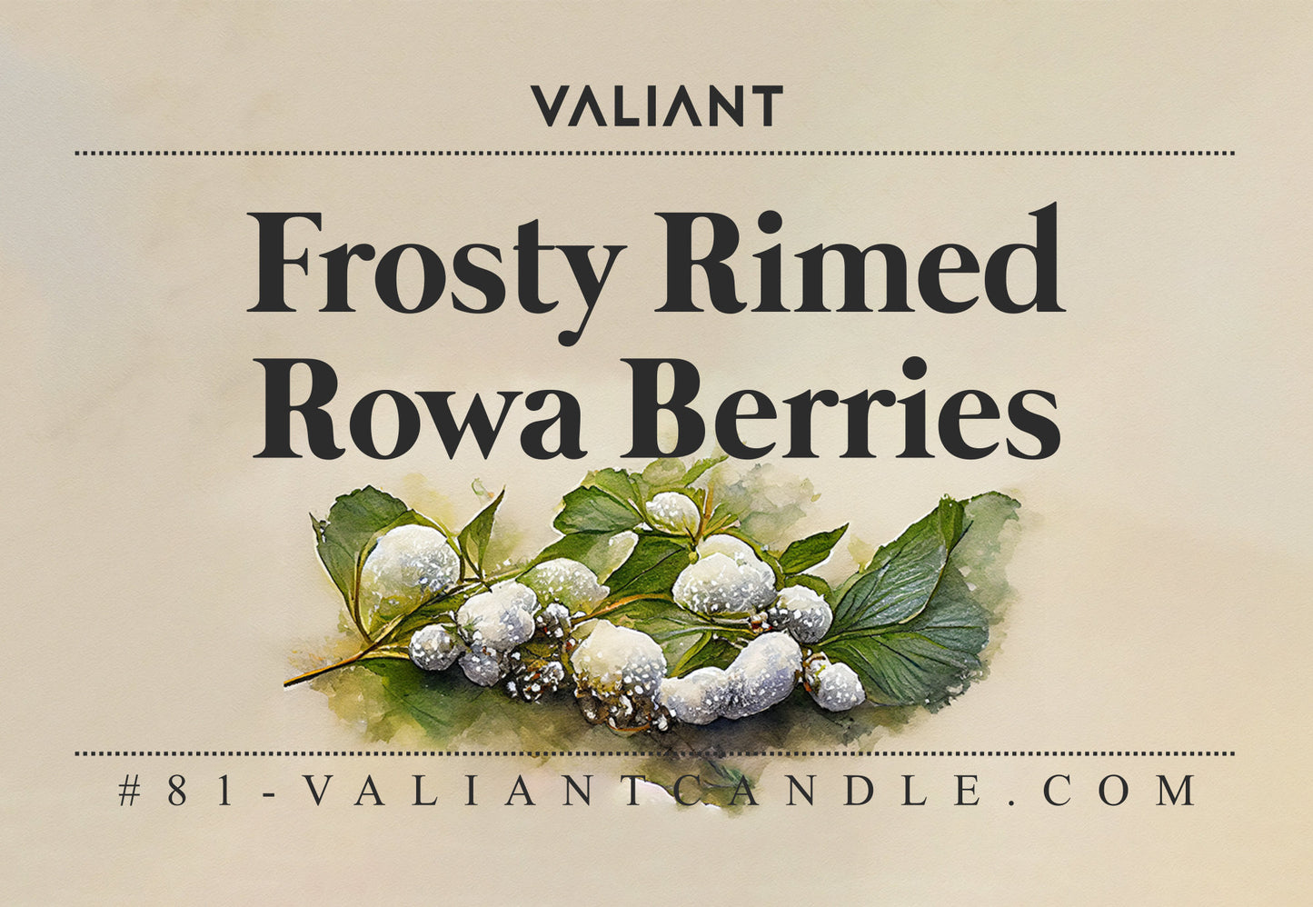 Frosty Rimed Rowa Berries
