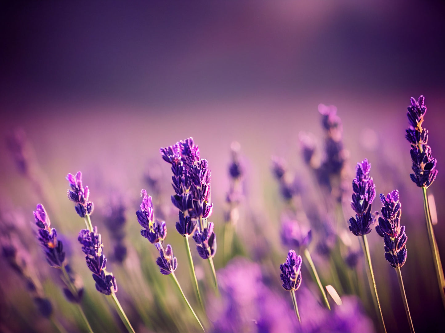 Lavender Aromatherapy Candle